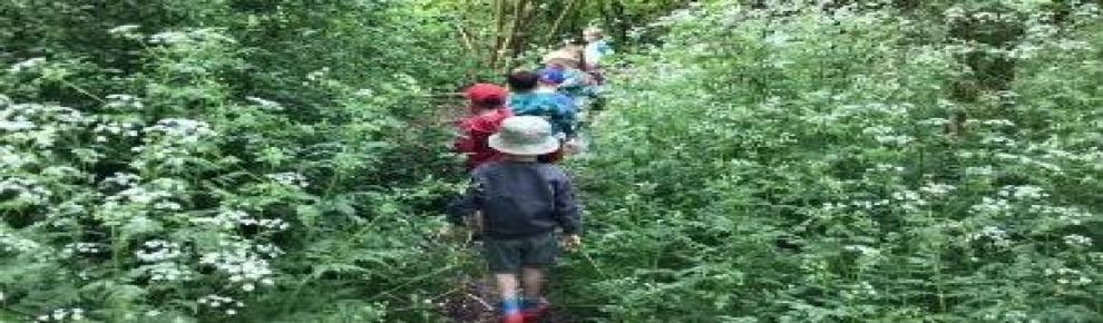Life at Kinross Primary School